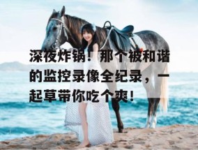 深夜炸锅！那个被和谐的监控录像全纪录，一起草带你吃个爽！
