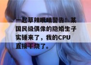一起草辣眼睛警告！某国民级偶像的隐婚生子实锤来了，我的CPU直接干烧了。