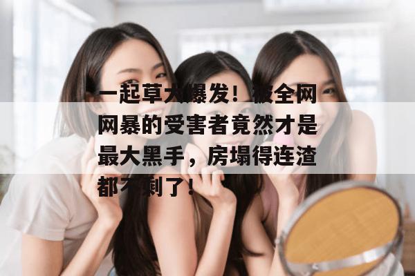 一起草大爆发！被全网网暴的受害者竟然才是最大黑手，房塌得连渣都不剩了！  第1张